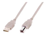 ASSMANN - USB cable - USB (M) to USB Type B (M) - 1.8 m - molded - beige