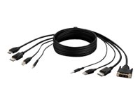 Belkin Secure KVM Combo Cable - Video / USB / audio cable - TAA Compliant - USB, mini jack, DVI-D, DisplayPort (M) to USB Type B, mini jack, HDMI, DisplayPort (M) - 1.83 m - passive, 4K support - black