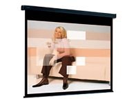 Projecta Cinema Electrol High Contrast S - Projection screen - motorised - 120\" (305 cm)