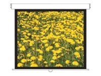 Optoma Panoview Pull Down Manual DS-3120PMG+ - Projection screen - ceiling mountable, wall mountable - 120\" (305 cm) - 4:3 - Matte White