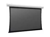 Projecta Tensioned Elpro Concept Wide Format - Projection screen - ceiling mountable, wall mountable - motorised - 230 V - 162.2\" (412 cm) - 16:10 - Matte White - RAL 9016