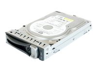 1TB 7.2K P Edge C6100 Series 3.5in NLSAS Hotswap HD w/ Caddy