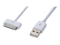 EDNET APPLE SYNC/CHARG.CABLE 1M 30 PIN
