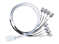 8p Smart Antenna Connector to N-Type 3ft