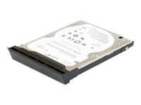 1TB Latitude E4300 2.5in 5400RPM Main/1st SATA HD Kit