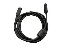 Rally USB C To C Cable - N/A - C TO C -