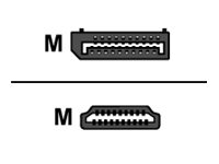 Verloopkabel DisplayPort male naar HDMI-A male 1 00 m