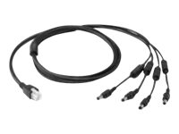 DC 4-WAY LINE CORD