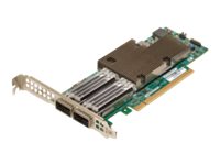 Broadcom NetXtreme E-Series P2100G - Network adapter - PCIe 4.0 x16 low profile - 100 Gigabit QSFP56 x 2