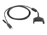 CBL ASSY:COMM AND CHARGEUSB-CLIENT