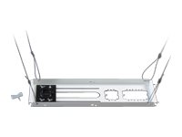 Chief CMS440