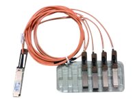 Refurb/40GBASEActiveOptical QSFPto4SFP b