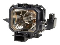 OEM: V13H010L27