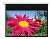 Optoma DE-1123EGA - Projection screen - ceiling mountable, wall mountable - motorised - 123\" (312 cm) - 16:10 - Matte White