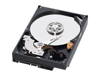 1TB 7.2K Desktop Nearline SAS 3.5in HD with Cables w/o Caddy