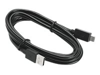 USB Cable (Type A to Type C) ZR138 (CN)