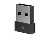 ThinkPad Dual-Mode Wireless ANC Foldable