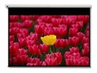 Optoma Panoview DE-9120EGA - Projection screen - motorised - 120\" (305 cm) - 16:9 - Matte White - for Optoma H117ST, H185X, H190X, HD28B, HZ40STx, UHD35, UHD35x, UHD38