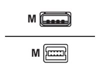 Console Cable 6ft USB Type A and mini-B