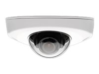 AXIS P3905-R Mk II Network Camera - Network surveillance camera - pan / tilt - dustproof / waterproof / tamper-proof - colour - 1920 x 1080 - 1080p - M12 mount - fixed iris - fixed focal - LAN 10/100 - MPEG-4, MJPEG, H.264 - PoE Plus