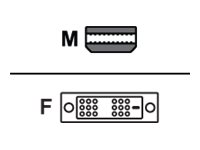 AMD - Adapter - Mini DisplayPort (M) to DVI-D (F)