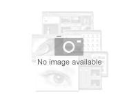 WIN RMT DSKTP SVCS CAL 2019 ENGLISH MLP AE DEVICE CAL