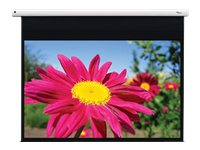 Optoma EGA series DE-1095EGA - Projection screen - ceiling mountable, wall mountable - motorised - 95\" (241 cm) - 16:10 - Glass-fibre Matte White