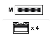 Lenovo Breakout - 100GBase-CU direct attach cable - QSFP28 to SFP28 - 3 m - for ThinkSystem NE10032, NE2572, NE2580O, ThinkSystem SD630 V2, SR250