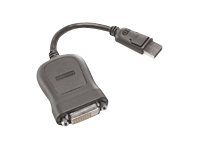 Lenovo - DVI cable - single link - DisplayPort (M) to DVI-D (F) - 20 cm - grey