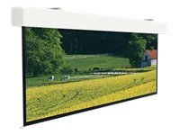 Projecta Elpro Large Electrol HDTV Format - Projectiescherm - aan het plafond monteerbaar, monteerbaar aan muur - gemotoriseerd - 230 V - 176\" (447 cm) - 16:9 - Matte White - RAL 9016, verkeerwit