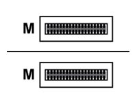 Cisco - 100GBase direct attach cable - QSFP28 (M) to QSFP28 (M) - 5 m - fibre optic - active - blue - remanufactured - for P/N: C9500-32C-EDU, C9500-32QC-EDU, N9K-X9788TC-FX-RF, NCS-55A1-24H-B, NCS-55A1-36H-SE-S