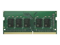 RAM module for DS925+