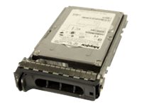 300GB 15K PE 900/R SERIES 3.5IN SAS W/ CADDY