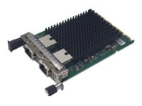 FUJITSU PLAN EP Intel X710-T2L - Network adapter - 10GbE - for PRIMERGY RX2530 M6, RX2540 M6