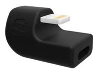 Compulocks 180 Degree Lightning Adapter - Lightning adapter - Lightning female to Lightning male angled
