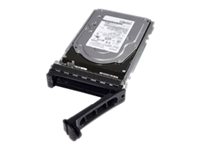 2.4TB 10k 512e SAS ISE 12Gbps 2.5in Hot Plug Hard Drive CUS Kit