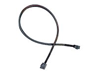 Adaptec I-HDmSAS-HDmSAS-1M 1M