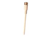 CS-A1-01-G-10 M12 3-P AXIAL 10M CABLE