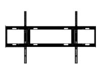 Wall bracket for IFP105S vesa holes