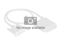 WD - SAS internal cable - Mini SAS HD (SFF-8643) to Mini SAS HD (SFF-8643) - 2 m (pack of 2)