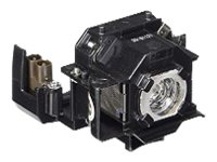 OEM: V13H010L33